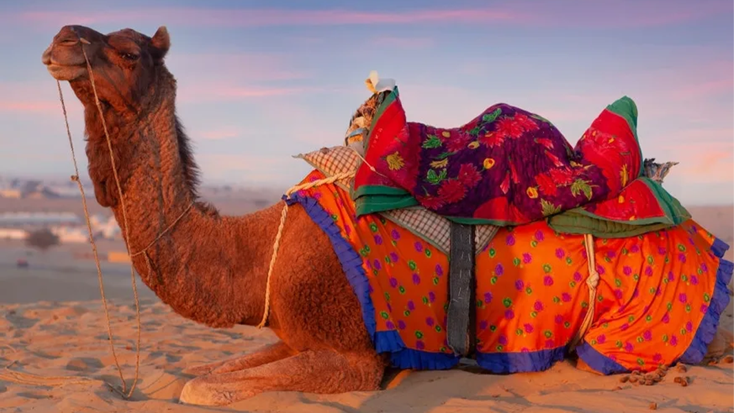 Jaipur-Bikaner-Jaisalmer-Jodhpur-Udaipur-11